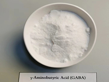 What Is Gamma Aminobutyric Acid Used For?